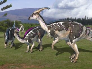 Hadrosaur Dinosaurs