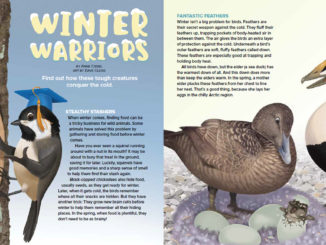 Winter Warriors Opening Spread Art by Dave Clegg