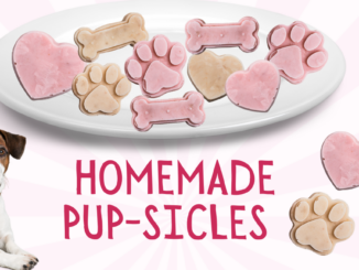 dog pupsicles