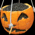 pumpkin feeder by Mark Godfrey