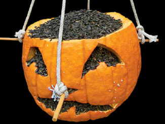 pumpkin feeder by Mark Godfrey