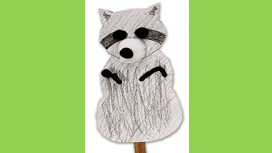 raccoon puppet 1156x650