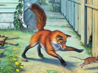 wild city