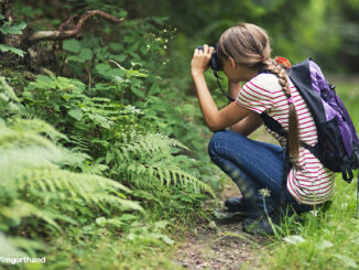 girl taking nature photos