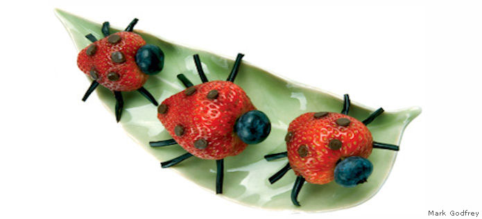 ladybug