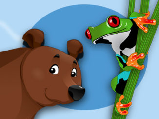 Image of Bear and frog