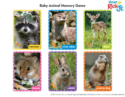 baby animal cards