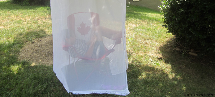 girl in mosquite net tent