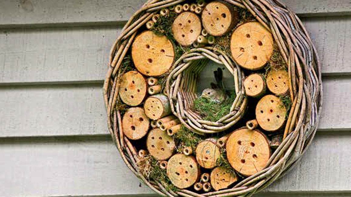 What Makes the Bug Hotel Unique And Why? 