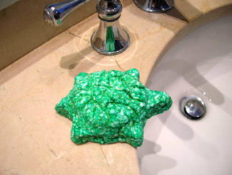 turtle soap