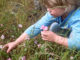 Child picking flowers
