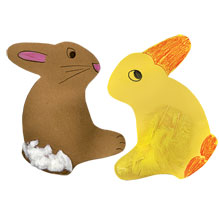 duck or bunny