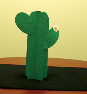 Pleated cactus