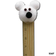 Polar bear snow gauge