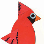 Shapely cardinal