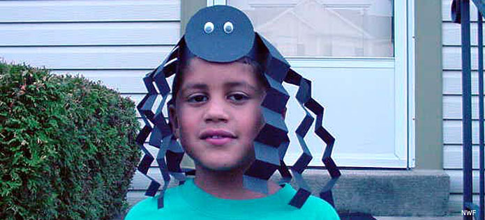 Spider hat