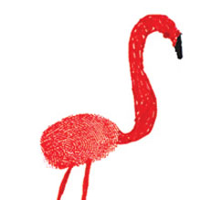 thumbrint flamingo