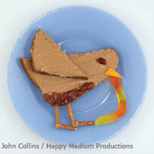 toasty robin