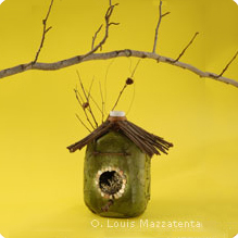 Bird feeder