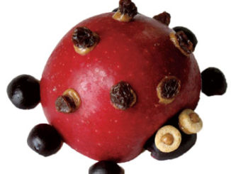 apple ladybug snack