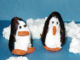 Penguin dates