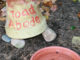 toad abode