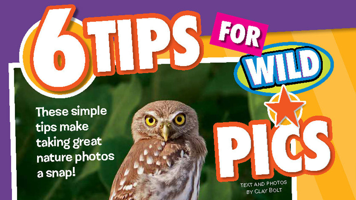6 Tips for Wild Pics
