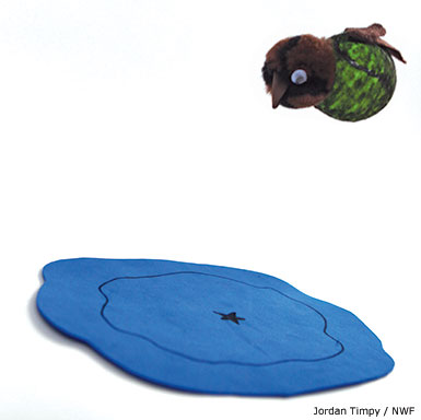wood duck stuffed animal