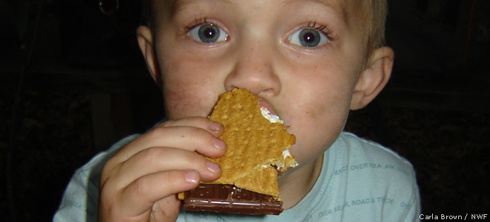 smore