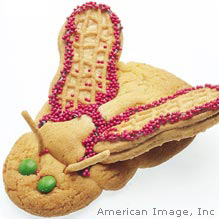 bug shaped cookie
