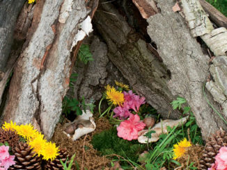 fairy house