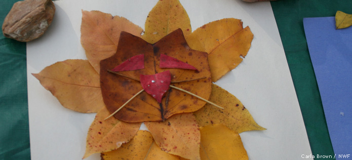 Make Animal Art from Leaves - NWF | Ranger Rick