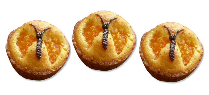 butterfly muffin