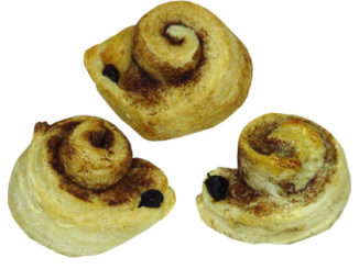 cinnamon snail rolls