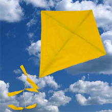 kite