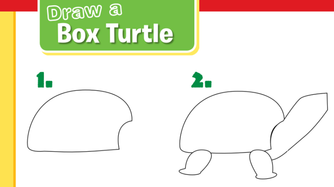Draw a Box Opened at the Top - How to Draw Step by Step Drawing Tutorials-saigonsouth.com.vn