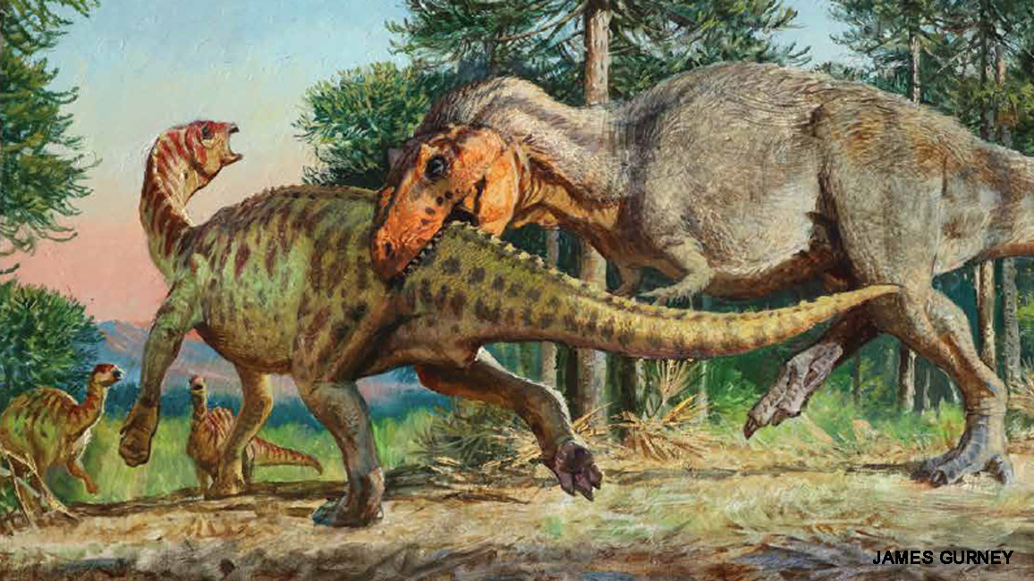 T. rex may have had brains and brawn •