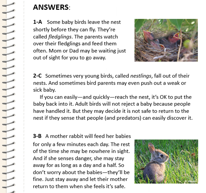Baby Animal Quiz Answers - NWF | Ranger Rick