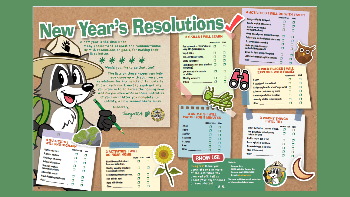 New Years Resolutions