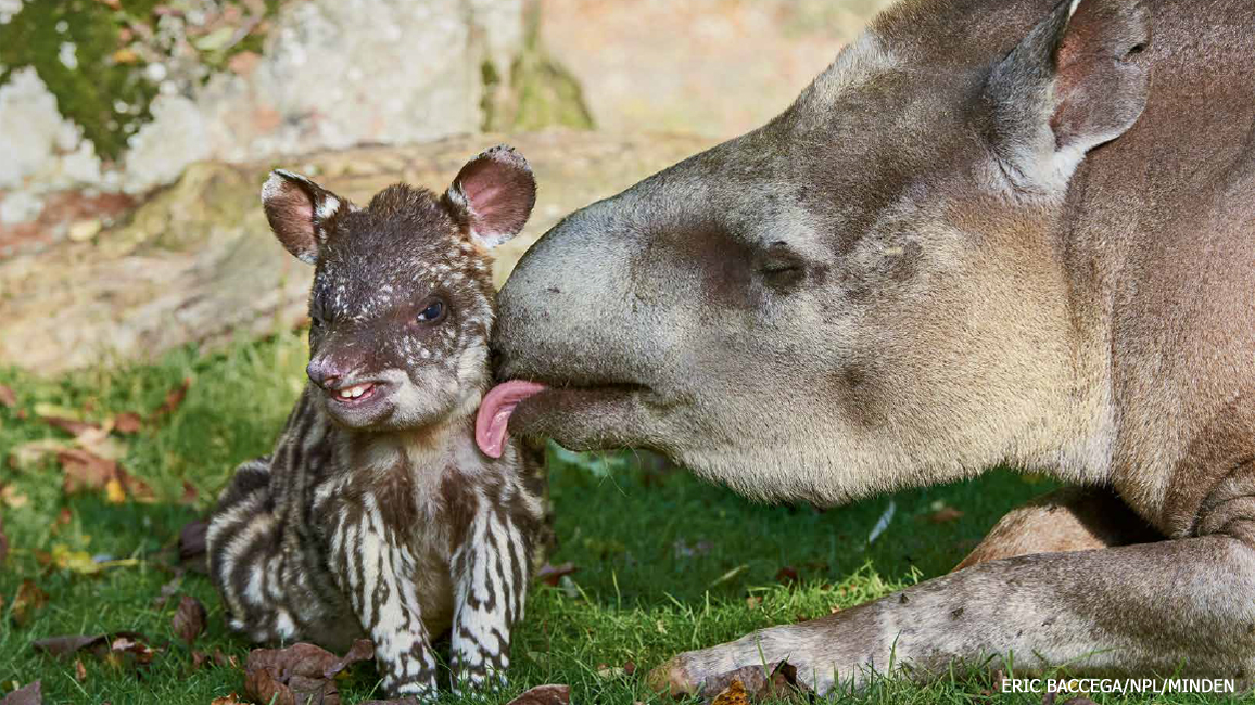 A Salute to Moms of Tiny Babies - One Hangry Mama