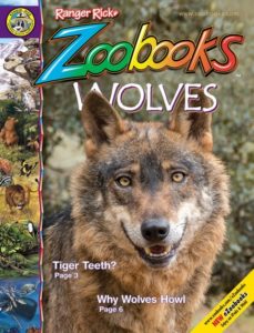Zoobooks Wolves