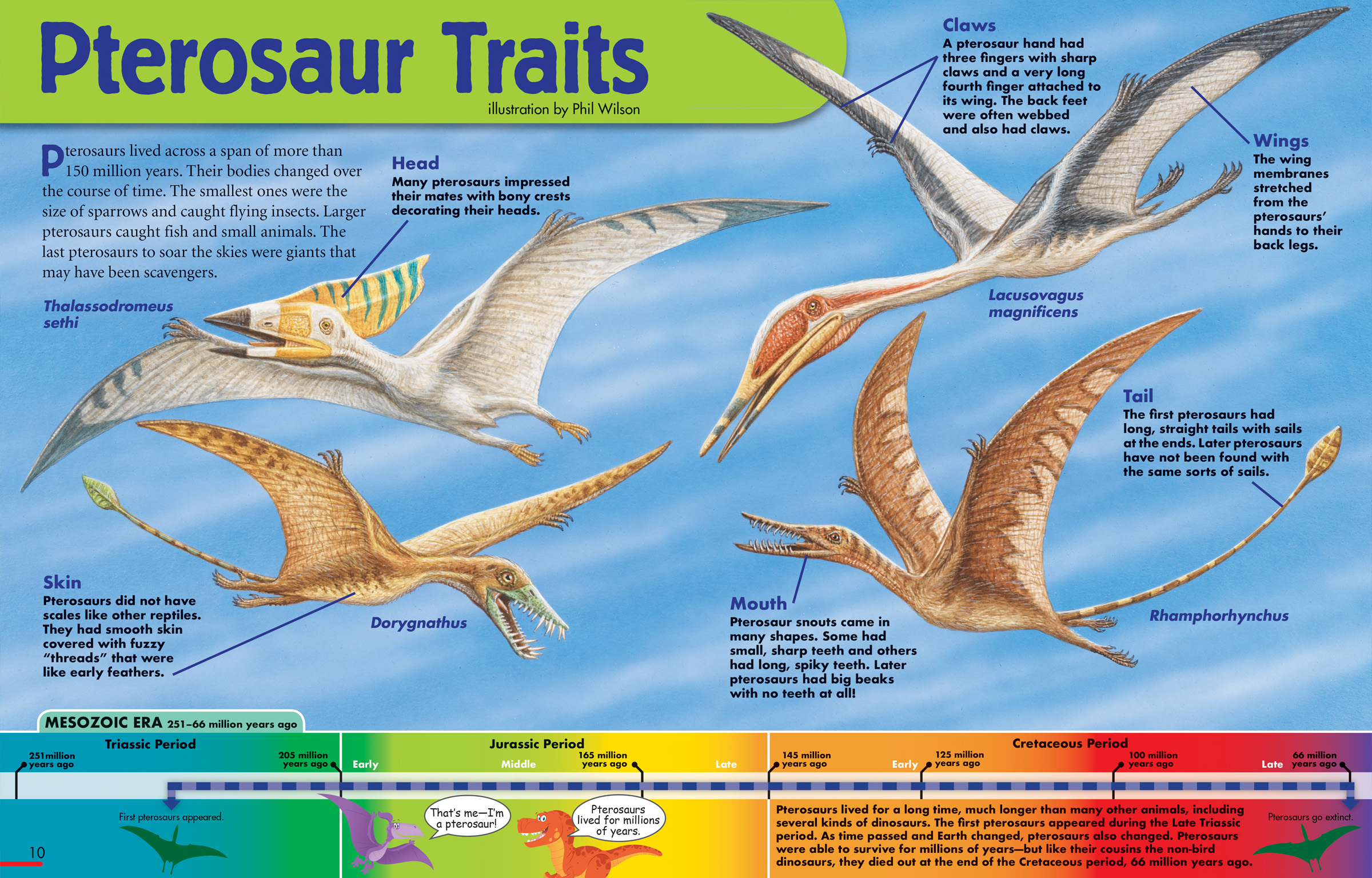 Let's learn about pterosaurs