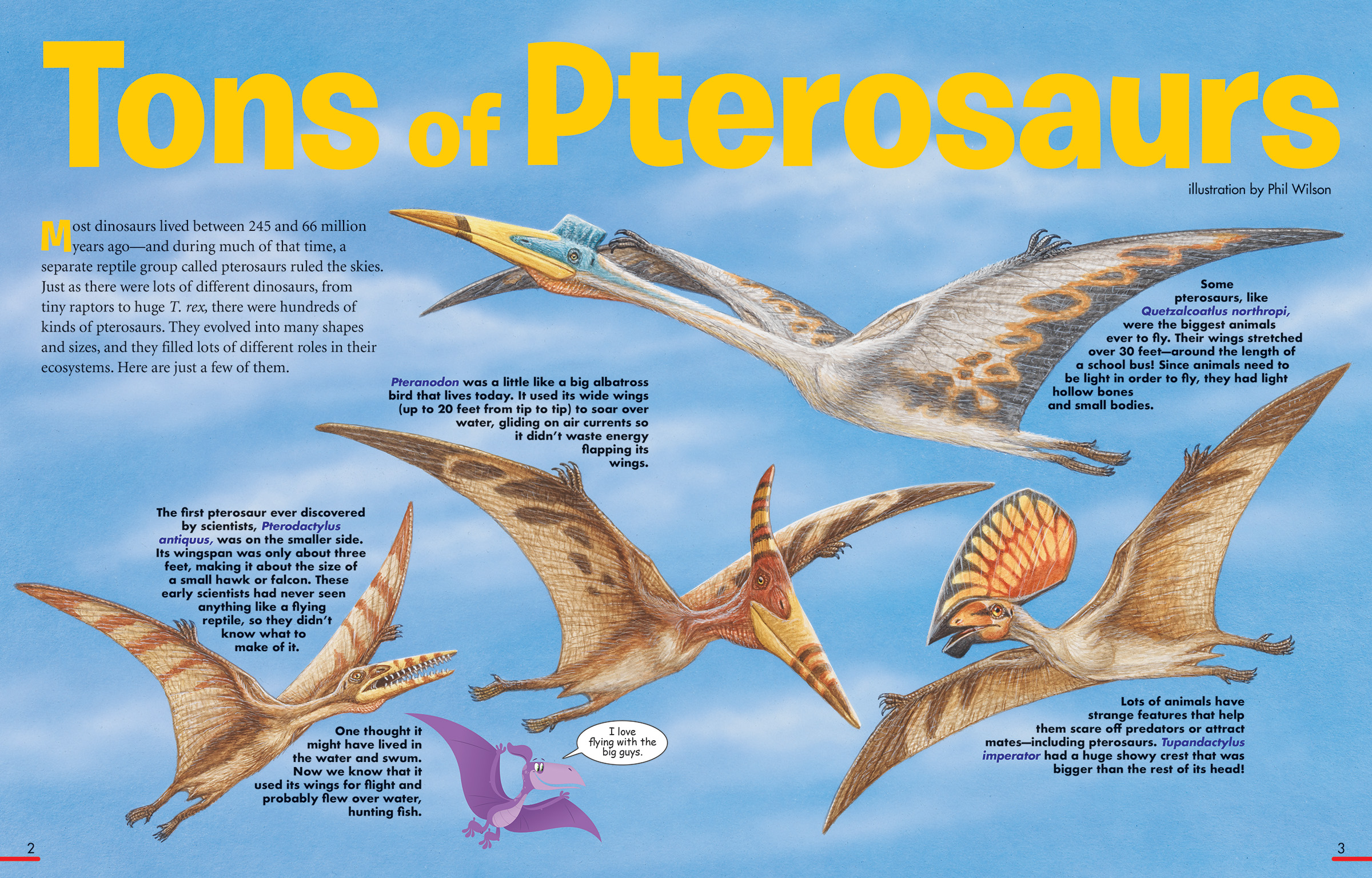 Tons of Pterosaurs - NWF | Ranger Rick