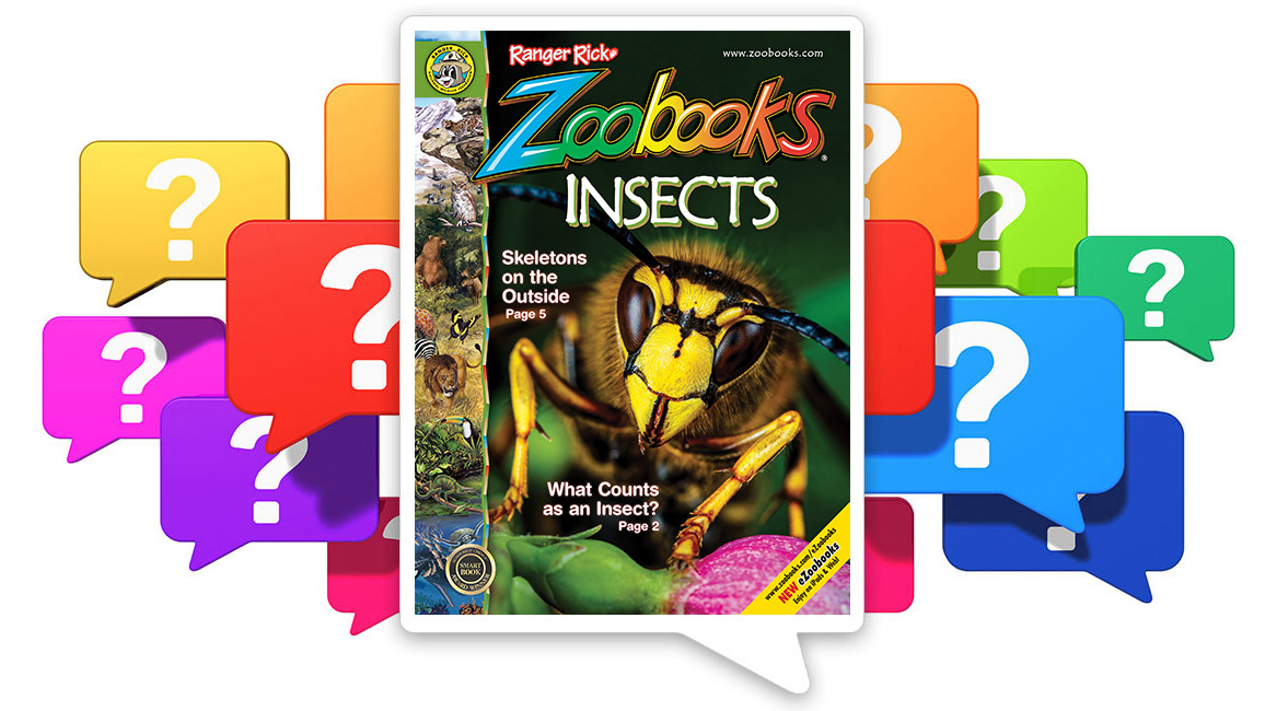 Insects NWF Ranger Rick