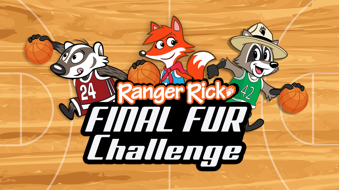 Final Fur Challenge