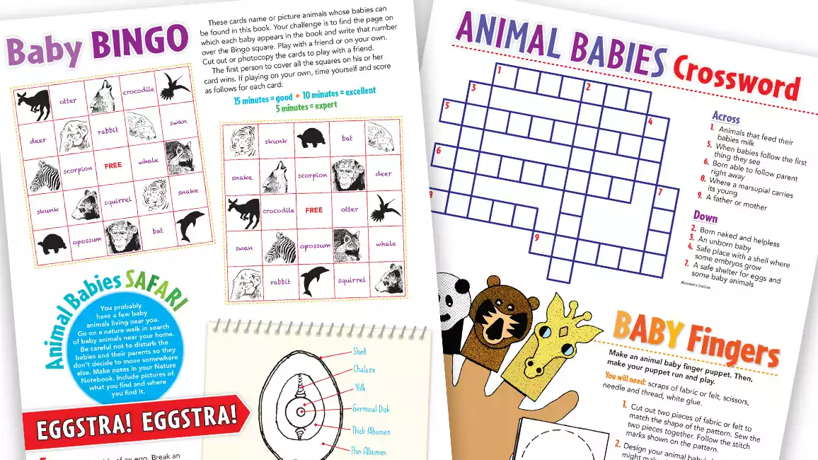 Sample pages of games available in Zoobooks Young Animals activity pages.