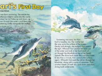 Two page spread depicting a mother and baby dolphin on the left swimming to the surface, and on the right the same pair frolicking on the surface.