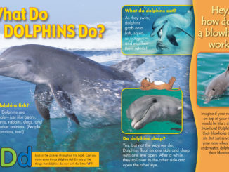Shows dolphin leaping from the water, with small images of a dolphin eating an octopus, sleeping, and a dolphin blowhole.