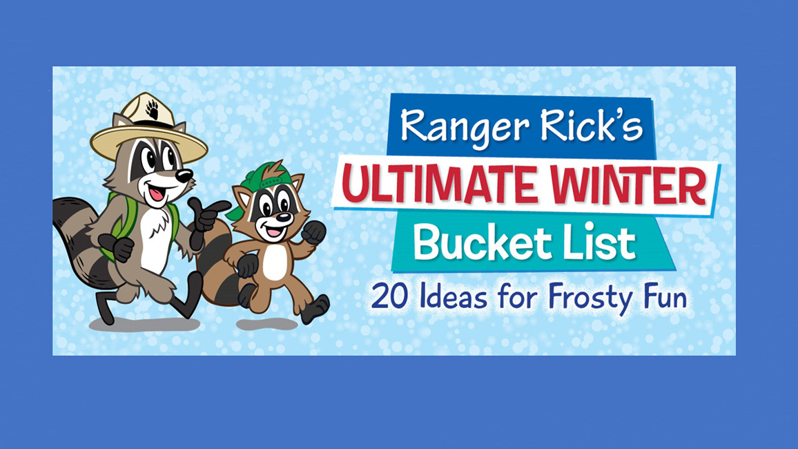 Winter Bucket List