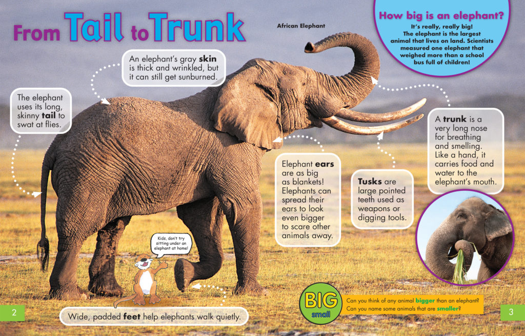 From Tail to Trunk - NWF | Ranger Rick
